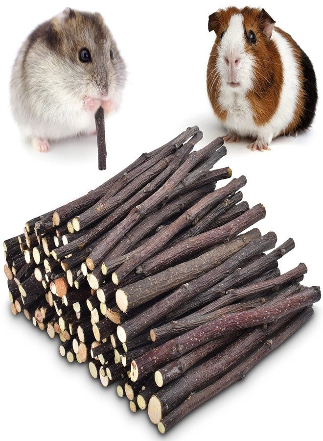 ERKOON Natural Apple Sticks 500g (1.1lb) Small Animals Molar Chew Toys Apple Branch Chew Treats for Hamster Rabbit Chinchilla Bunny Guinea Pig Squirrel - Image 1